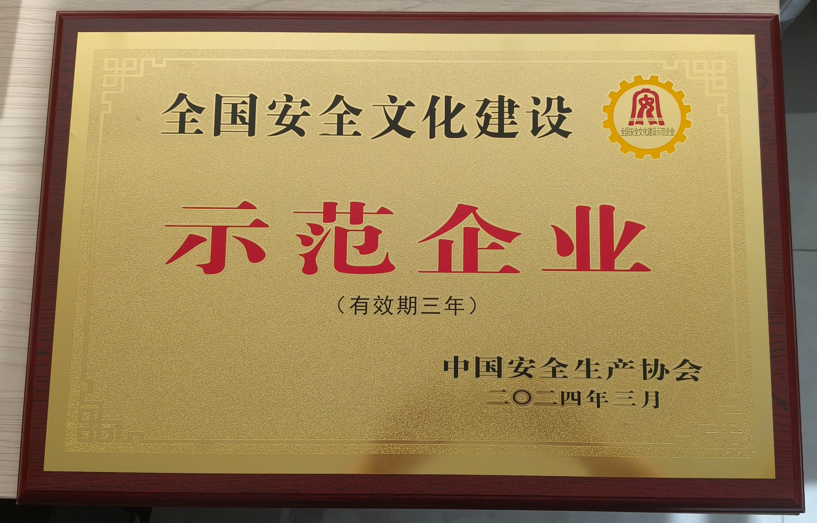 6.公司获评全国安全文化建设示范企业.jpg